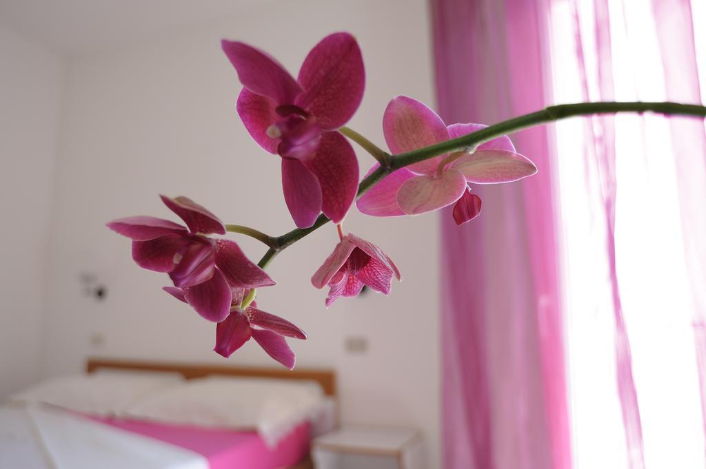 Solemare Hotel E Residence Misano Adriatico Eksteriør billede